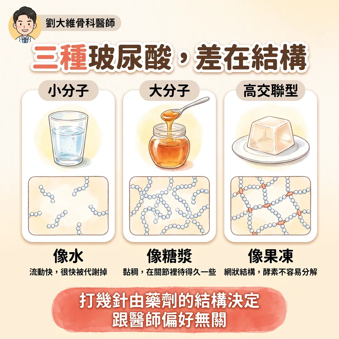 玻尿酸注射：小分子、大分子、高交聯型有什麼不同 衛教圖 2