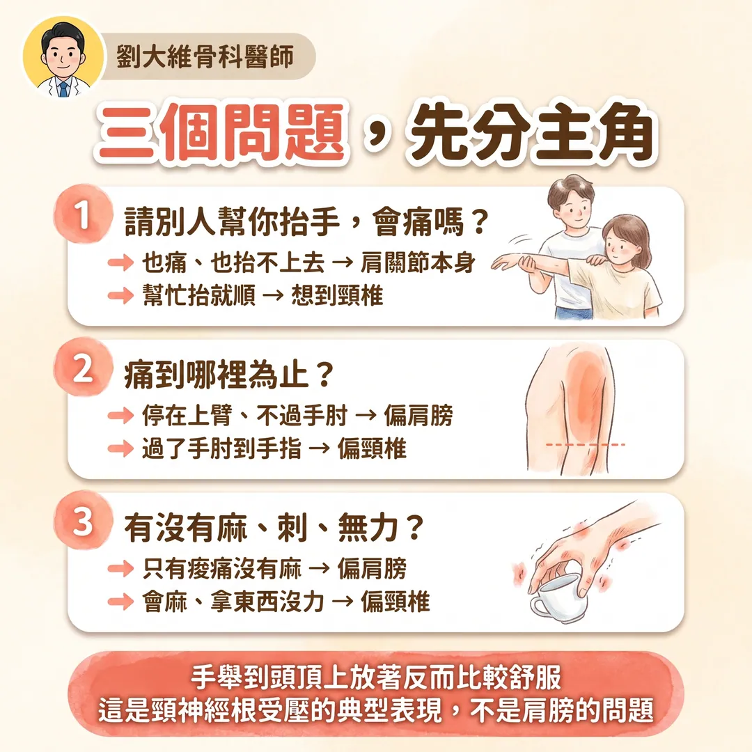 肩頸症候群：肩關節與頸椎的病灶如何互相影響 衛教圖 6