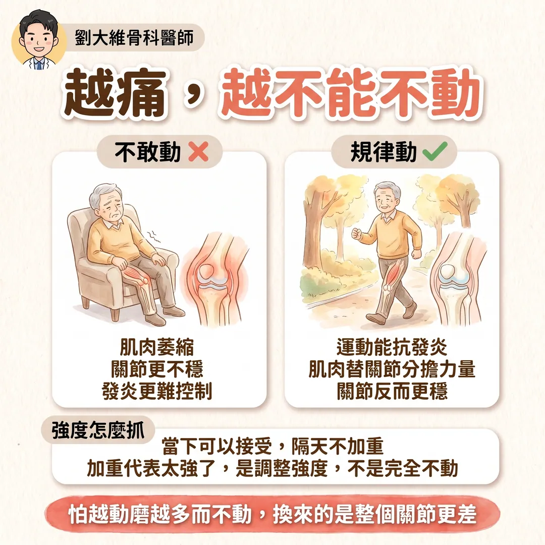 退化性關節炎：或許重點不是退化，而是發炎 衛教圖 8